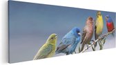 Artaza Canvas Schilderij Kleurrijke Zangvogels Op Een Tak - Kleur - 120x40 - Groot - Foto Op Canvas - Canvas Print