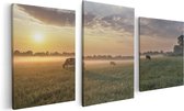 Artaza Canvas Schilderij Drieluik Koeien In De Wei Tijdens Zonsopkomst  - 120x60 - Foto Op Canvas - Canvas Print