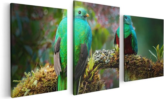 Artaza Canvas Schilderij Drieluik Twee Groene Quetzal Vogels Op Een Tak - 120x60 - Foto Op Canvas - Canvas Print