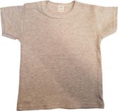 WDLS- Baby T-shirt-Maat 92-98- Korte mouw- Grijs