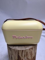 Polarbox Retro Koelbox Nevera Amarilla – 20 Liter Inhoud – Duurzaam Geproduceerd