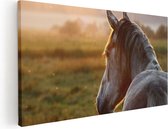 Artaza Canvas Schilderij Paard In De Weide Tijdens Zonsondergang - 100x50 - Groot - Foto Op Canvas - Canvas Print