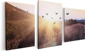 Artaza Canvas Schilderij Drieluik Silhouet Zwerm Vogels Bij Zonsondergang - 120x60 - Foto Op Canvas - Canvas Print