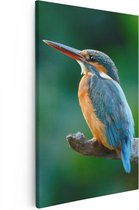 Artaza Canvas Schilderij Blauw Oranje IJsvogel Op Een Tak - 80x120 - Groot - Foto Op Canvas - Canvas Print