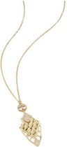 Hanger Dames Just Cavalli SCAGD01