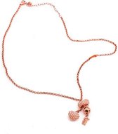 Ketting Dames Folli Follie 3N1T024RS (30 cm)