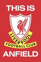 Liverpool FC This Is Anfield Poster 61x91.5cm