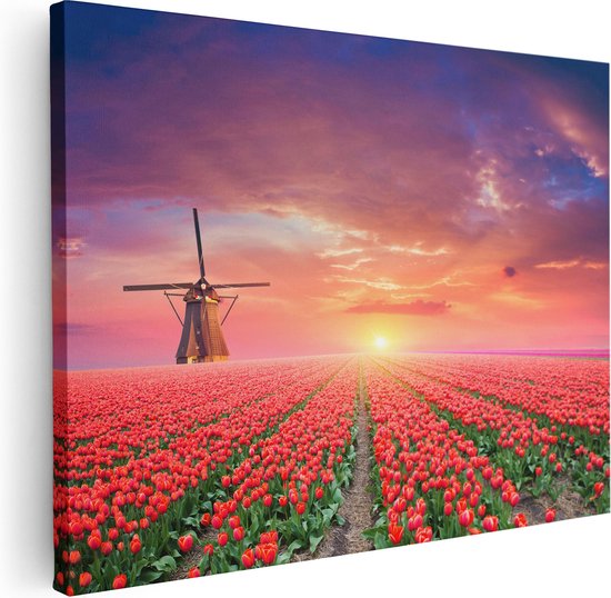 Artaza Canvas Schilderij Rode Rozen Bloemenveld Met Een Windmolen - 40x30 - Klein - Foto Op Canvas - Canvas Print