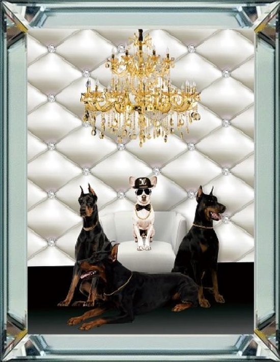 50 x 60 cm - Spiegellijst met prent - Hippe honden - prent achter glas