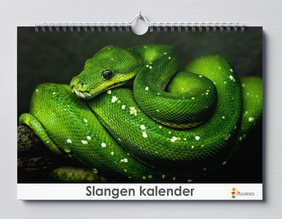 Cadeautip! Slangen kalender 35x24 cm | Slangen verjaardagskalender |Slangen wandkalender| Kalender 35 x 24 cm