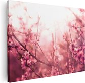 Artaza Canvas Schilderij Roze Bloesemboom Met Zonneschijn - 80x60 - Foto Op Canvas - Canvas Print