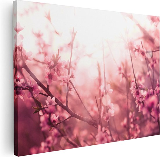 Artaza Canvas Schilderij Roze Bloesemboom Met Zonneschijn - 80x60 - Foto Op Canvas - Canvas Print