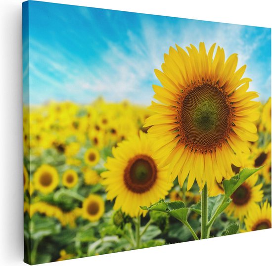 Artaza - Canvas Schilderij - Zonnebloemen Veld  - Foto Op Canvas - Canvas Print