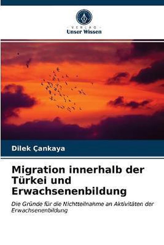 Migration innerhalb der Türkei und Erwachsenenbildung - cover