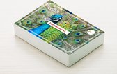Geheugenspel Vogel - Kaartspel 70 kaarten - gedrukt op karton - educatief spel - geheugenspel
