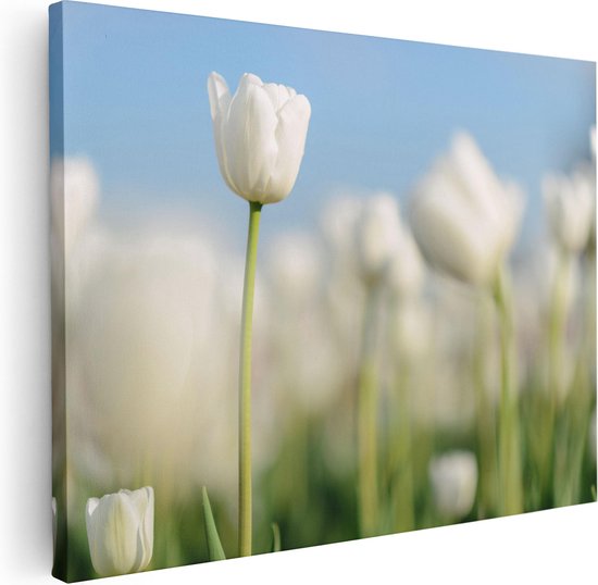 Artaza Canvas Schilderij Witte Tulpen - Bloemen - 40x30 - Klein - Foto Op Canvas - Canvas Print