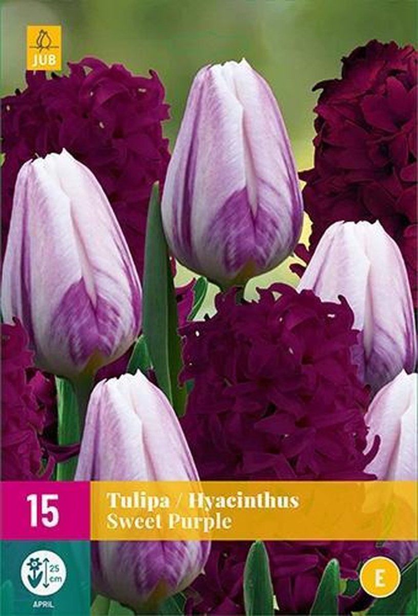 Jub Holland - bloembollen - Tulpen / Hyacinten Sweet Purple - maat I - 15 stuks
