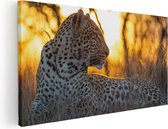 Artaza Canvas Schilderij Luipaard Tijdens De Zonsondergang - 100x50 - Groot - Foto Op Canvas - Canvas Print