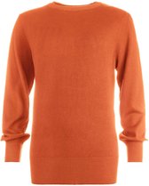 NED Trui Sahara Ls 21w1u10614 Rooibos Tea Dames Maat - M