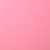 Florence Karton - Pink - 305x305mm - Gladde textuur - 216g
