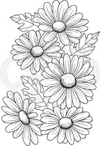 Stempel - Creative Expressions - Clear stamp set - Five daisies