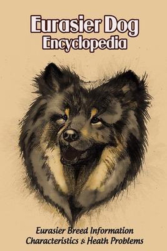 Eurasier Dog Encyclopedia: Eurasier Breed Information, Characteristics & Heath Problems