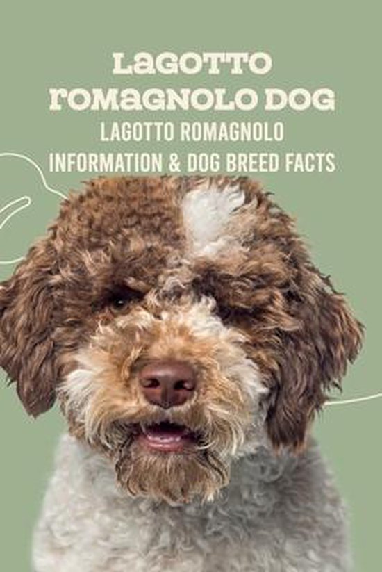 Lagotto Romagnolo Dog: Lagotto Romagnolo Information & Dog Breed Facts