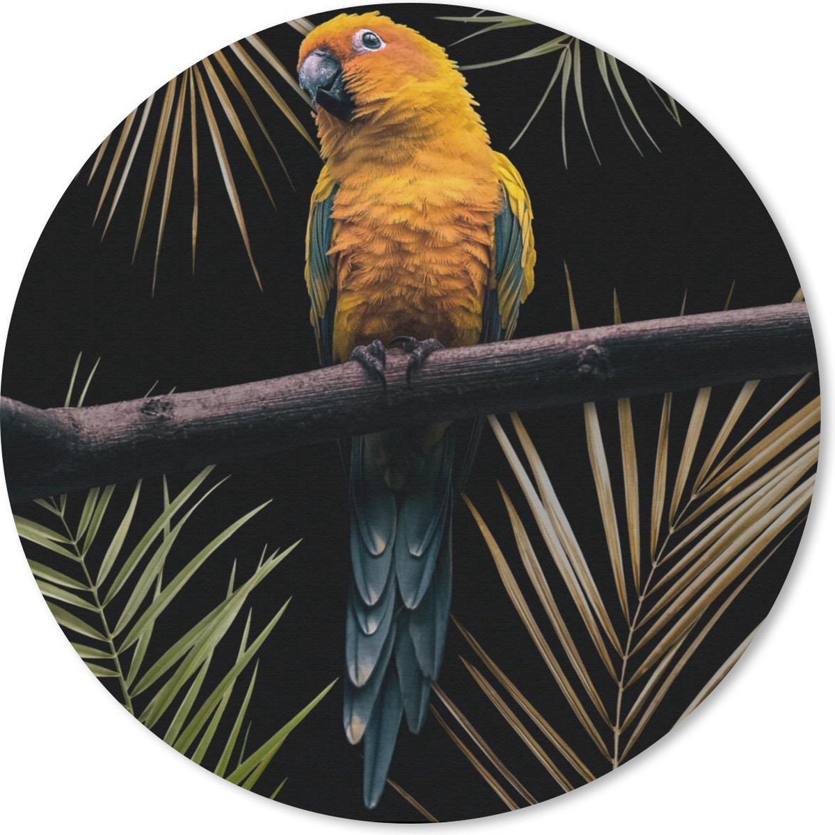 Muismat rond 20x20 cm - Mousepad Vogel - Papegaai - Tak - Bladeren - Ronde muismatten