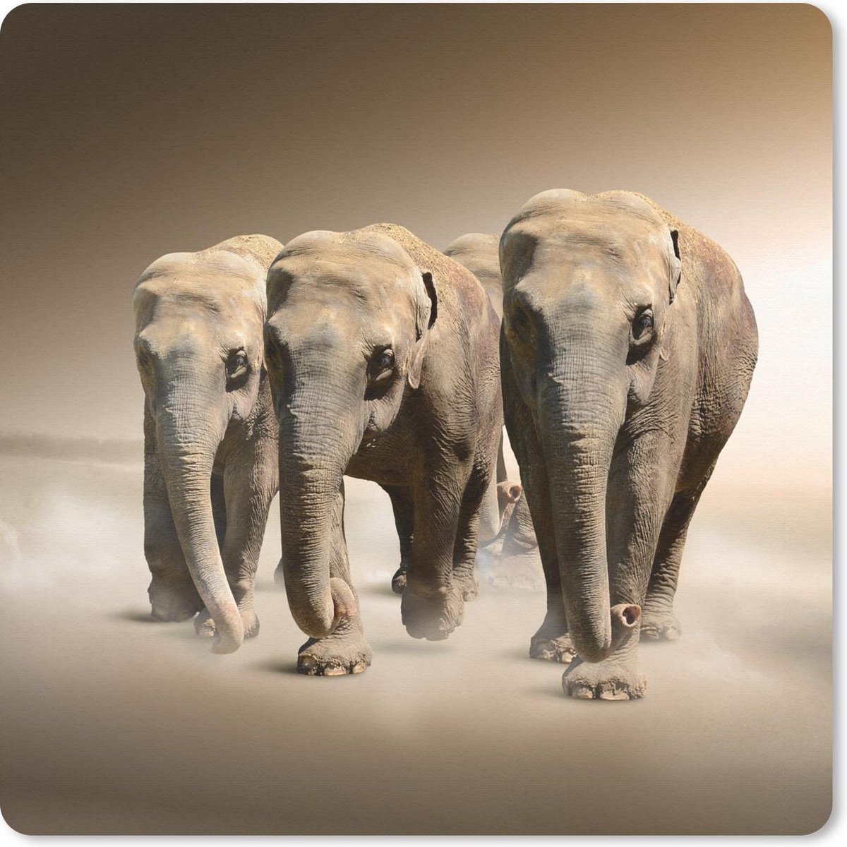 Muismat 30x30 cm - Mousepad Olifant - Mist - Landschap - Muismatten