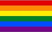 Doodadeals® | Drapeau arc-en-ciel | Drapeau gay Original | Drapeau de la Pride | drapeau LGBT | Grande taille | 150x90CM