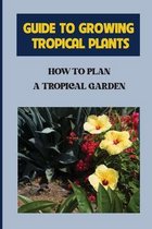 Guide To Growing Tropical Plants: How To Plan A Tropical Garden