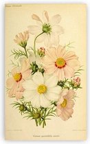 Antique Flowers Bloemen Print Poster Wall Art Kunst Canvas Printing Op Papier Living Decoratie 60X120cm Multi-color