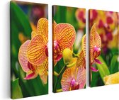 Artaza Canvas Schilderij Drieluik Geel Rode Orchidee Bloemen - 120x80 - Foto Op Canvas - Canvas Print