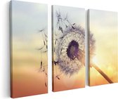 Artaza - Triptyque de peinture sur toile - Pissenlit au coucher du soleil - 120x80 - Photo sur toile - Impression sur toile