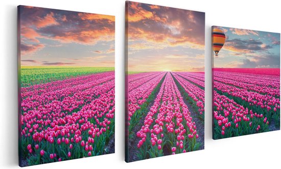 Artaza Toile Peinture Triptyque Champ De Fleurs Avec Des Tulipes Roses - Montgolfière - 120x60 - Photo Sur Toile - Impression Sur Toile