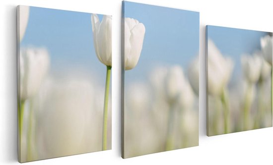 Artaza Canvas Schilderij Drieluik Witte Tulpen - Bloemen - 120x60 - Foto Op Canvas - Canvas Print