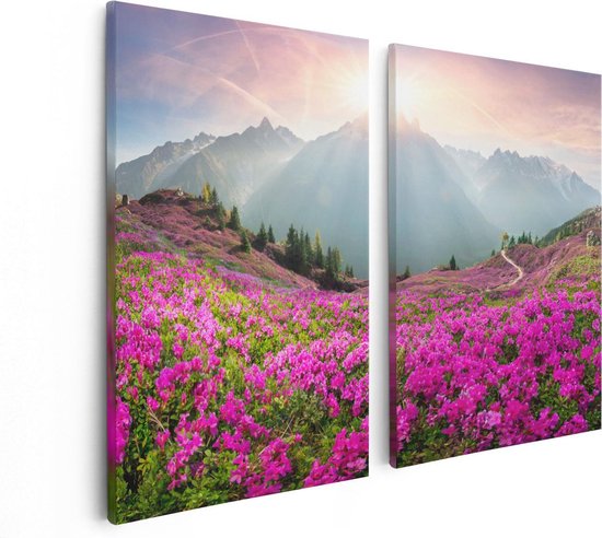 Artaza Canvas Schilderij Tweeluik Rhododendron Bloemenveld In De Alpen - 80x60 - Foto Op Canvas - Canvas Print