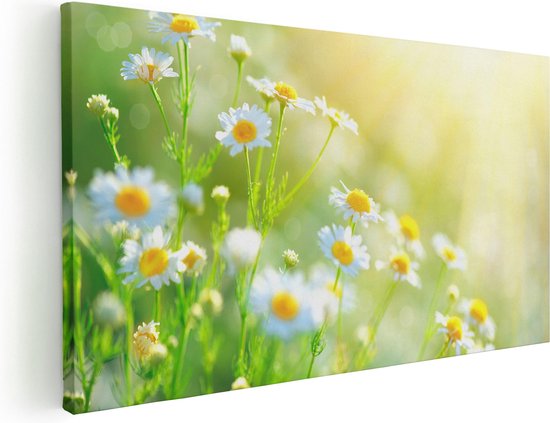 Artaza Peinture sur Toile Fleurs de Camomille Witte avec Soleil - 40x20 - Klein - Photo sur Toile - Impression sur Toile