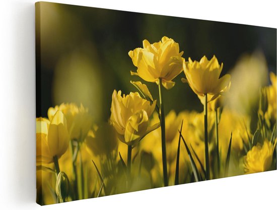 Artaza Canvas Schilderij Gele Tulpen - Bloemen - 40x20 - Klein - Foto Op Canvas - Canvas Print