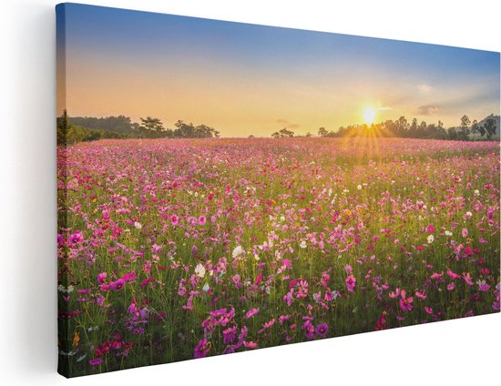 Artaza Canvas Schilderij Bloemenveld Met Roze Kosmos  - 80x40 - Foto Op Canvas - Canvas Print