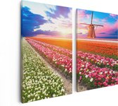 Artaza Canvas Schilderij Tweeluik Kleurrijke Bloemenveld Met Een Windmolen - 80x60 - Foto Op Canvas - Canvas Print