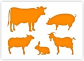 QBIX Farm Animal Template A5 Format Plastic - Pig is 8.3cm wide