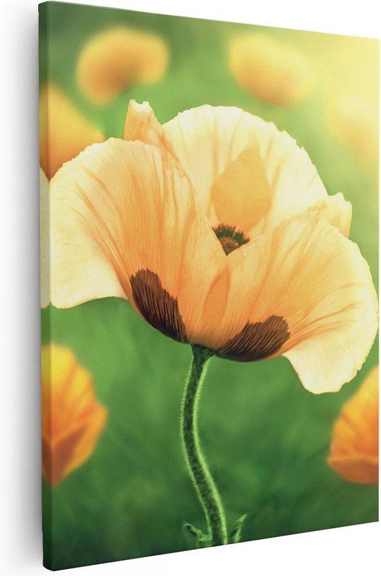 Artaza Canvas Schilderij Oranje Klaproos Bloemen  - 80x100 - Groot - Foto Op Canvas - Canvas Print