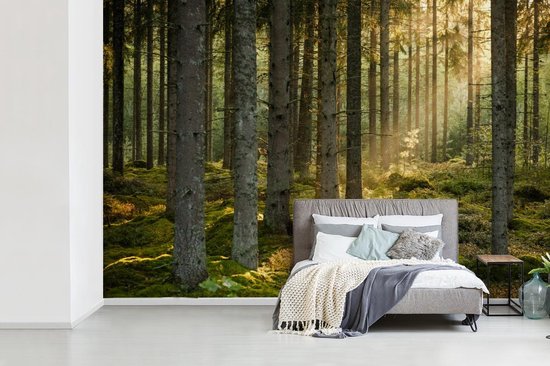 Papier peint - Papier peint photo Forêt - Arbre - Soleil - Largeur 420 cm x hauteur 280 cm