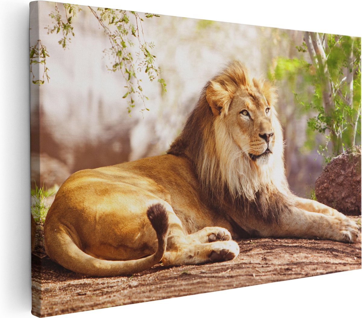 Artaza Canvas Schilderij Leeuw - 30x20 - Klein - Foto Op Canvas - Canvas Print