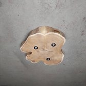 Ledwood Plafonniere - Acacia schijf - Boomstamschijf - Plafond lamp