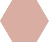 Muurhexagon effen zalm Forex / 18 x 15 cm
