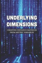 Underlying Dimensions: Creating Distance Matrices From Metric Variables