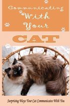Communicating With Your Cat: Surprising Ways Your Cat Communicates With You