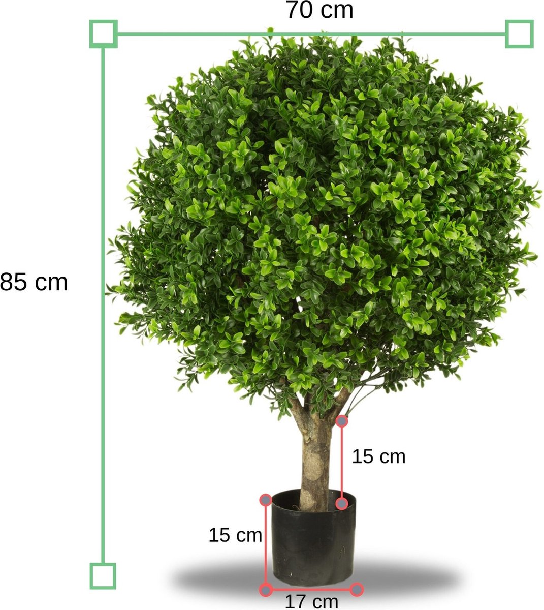 UV Buxus Kunst Bol 70